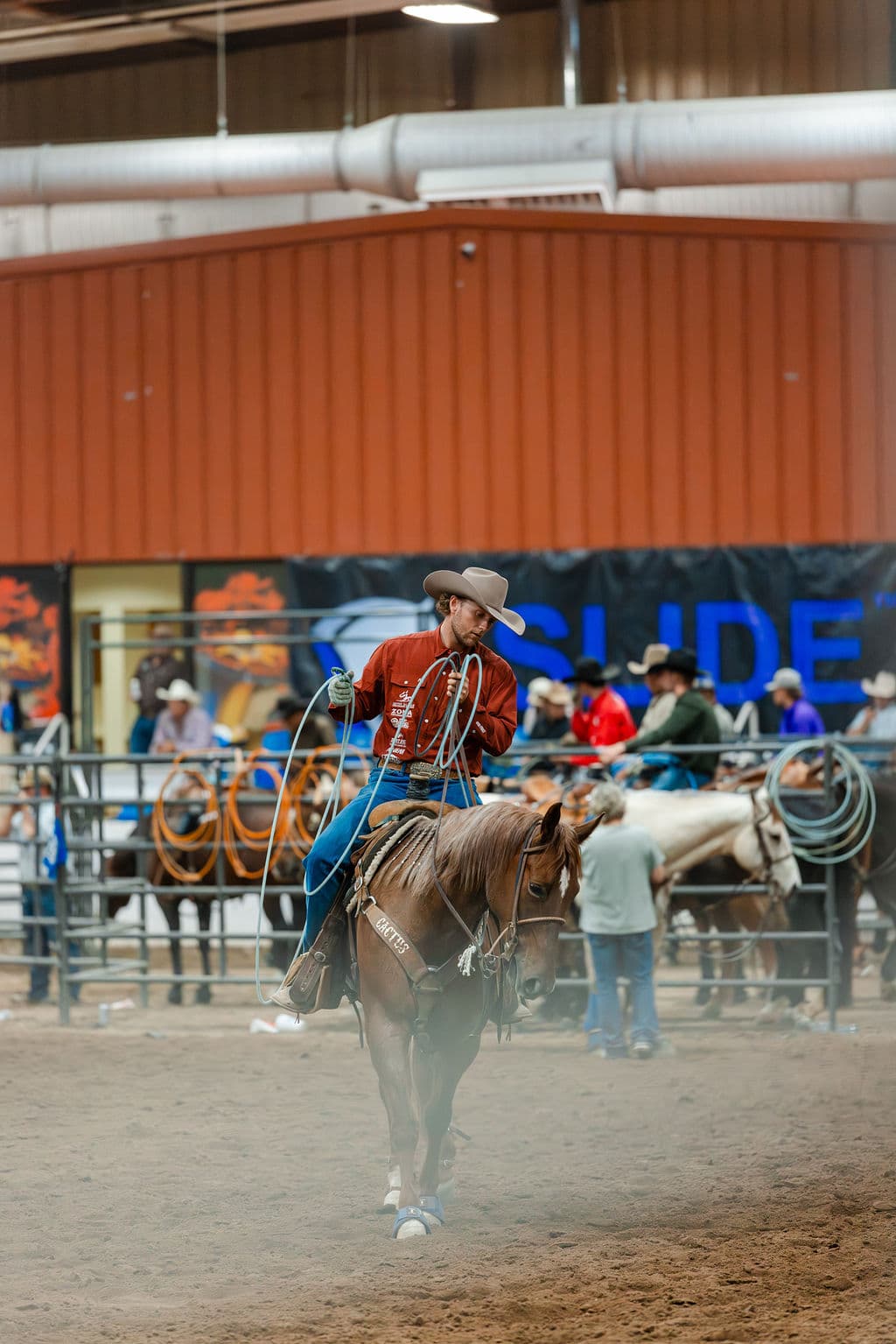 Rider coiling a rope in the arena