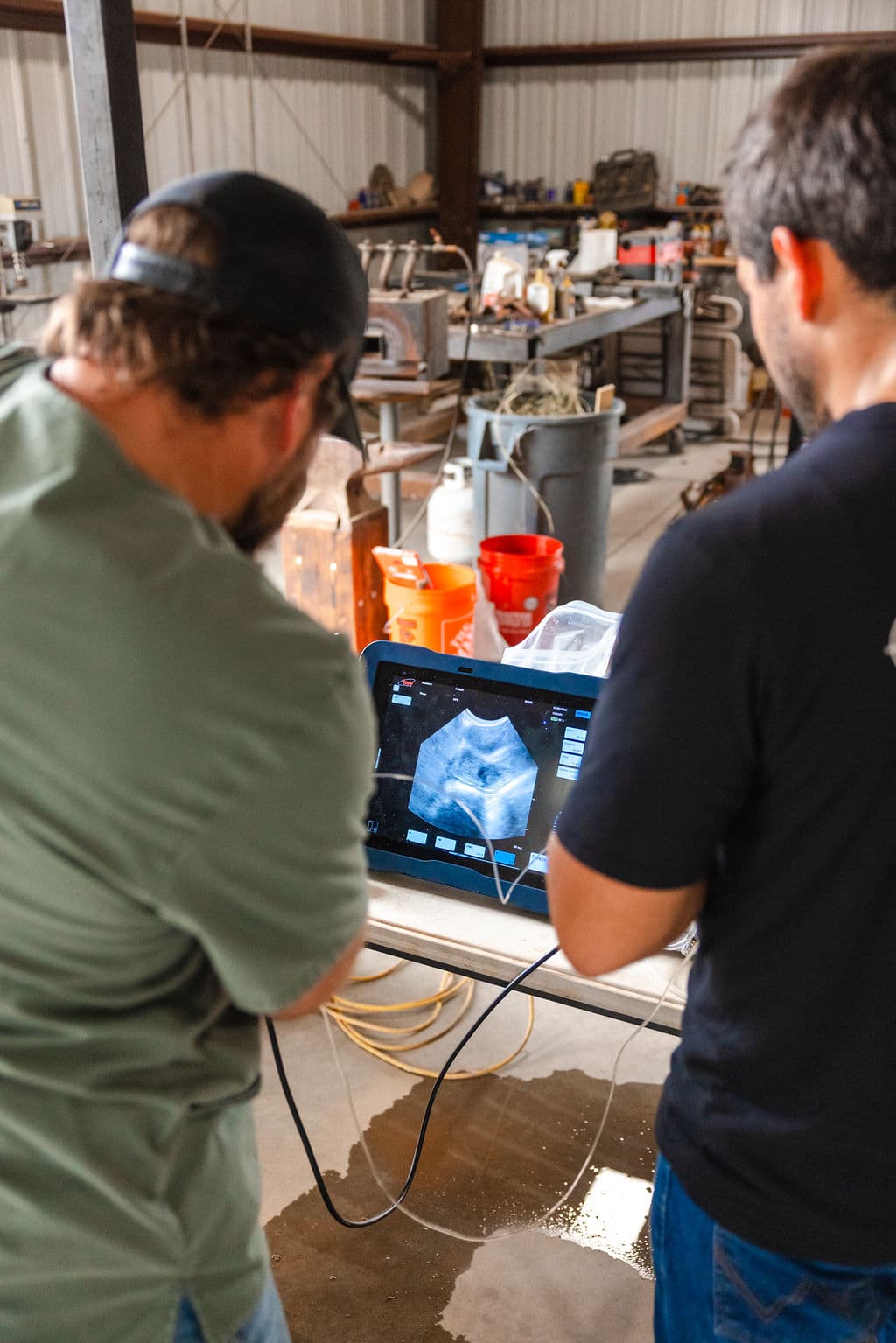 Reading an ultrasound in the shop