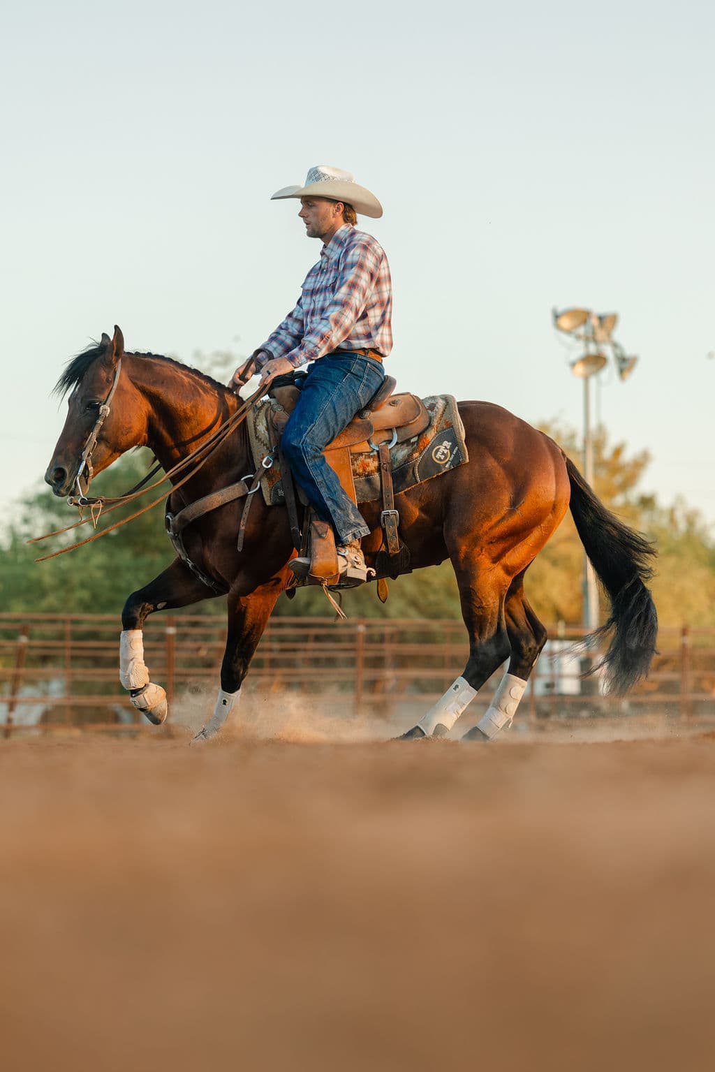 Loping through the arena at sunset
